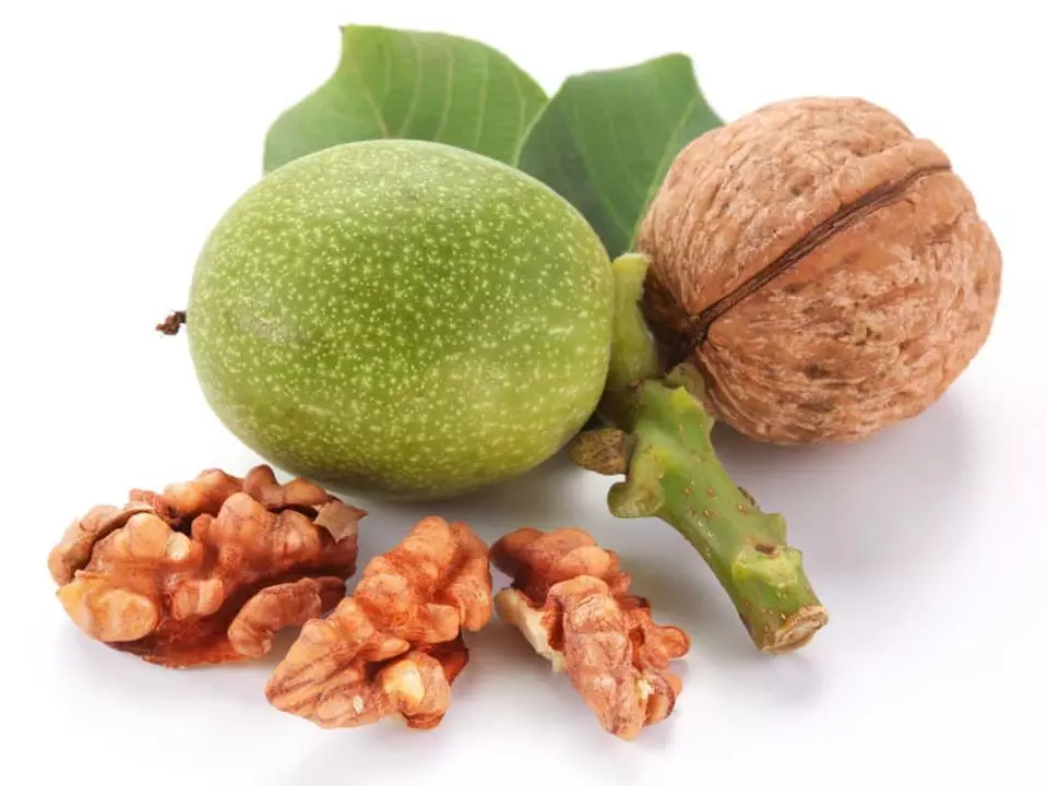 Desbloquea el Poder de la Nuez de Macadamia: El Suplemento Dietético Definitivo para la Salud y el Bienestar
